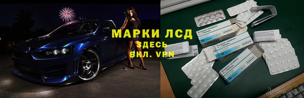 ГАЛЛЮЦИНОГЕННЫЕ ГРИБЫ Баксан