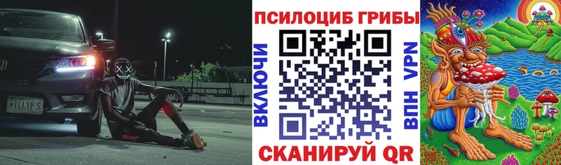 Псилоцибиновые грибы мицелий  Городец 