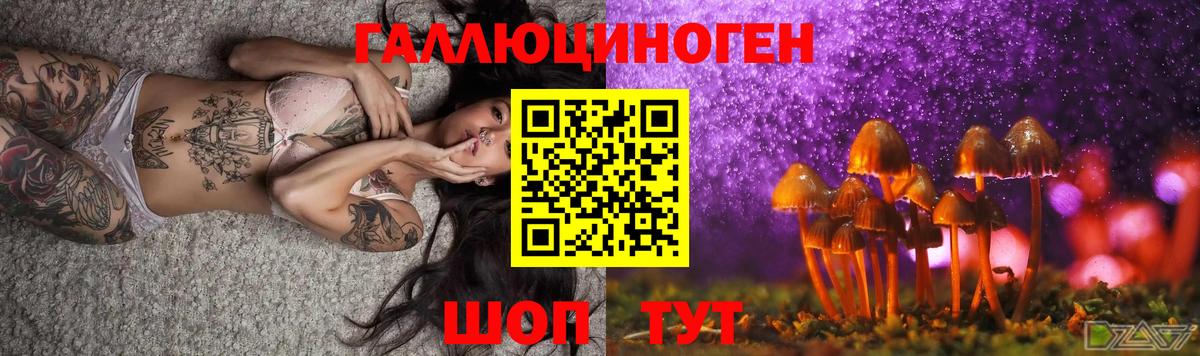 Псилоцибиновые грибы мицелий  купить наркотик  Городец 