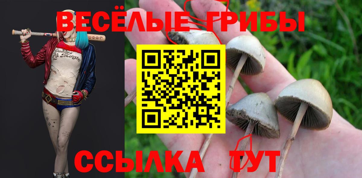 Псилоцибиновые грибы ЛСД  Вход с VPN  Псилоцибиновые грибы Magic Shrooms  Городец 
